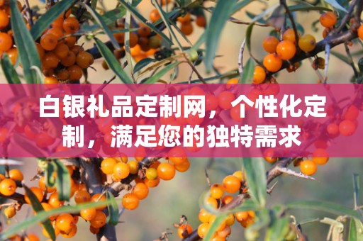 白银礼品定制网，个性化定制，满足您的独特需求
